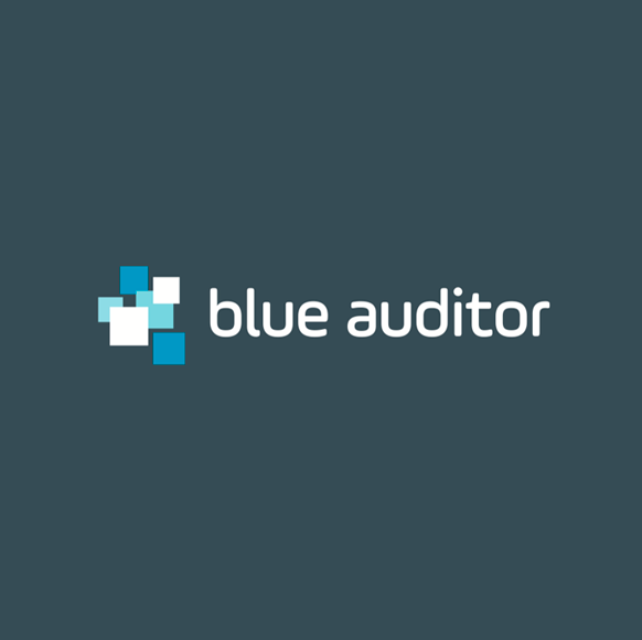 blue-auditor